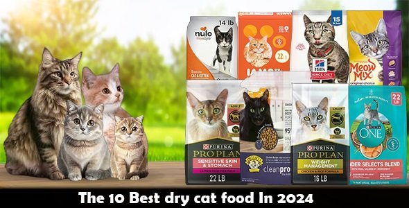 Best dry cat food