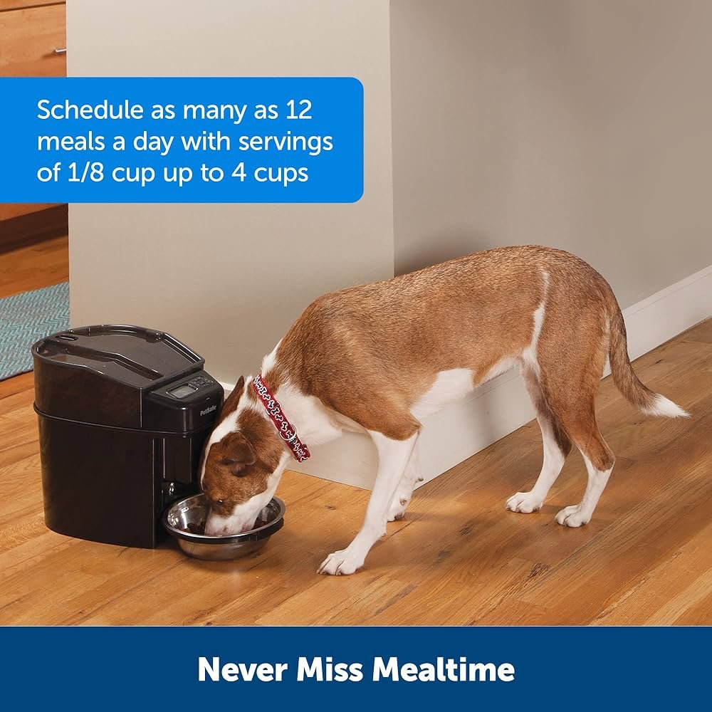 Pet Food Dispenser Secrets: Ensure Your Pet Never Misses a Meal!