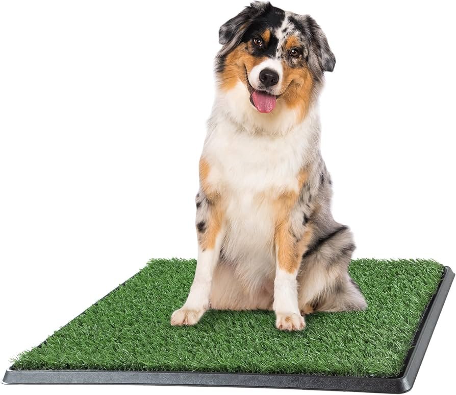 Pet Food Mat Essentials: Pick the Perfect One for Your Pooch!