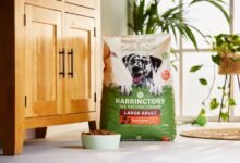 Rabbit Food : A Delicious & Nutritious Powerhouse for Your Fluffy Companion